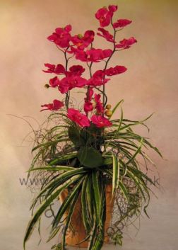 Artificial Flower - Standard CODE 81998